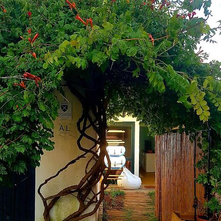 Conde Surf Camp - Junto Ao Mar - Entire Pvt House Villa Vila do Conde Bagian luar foto
